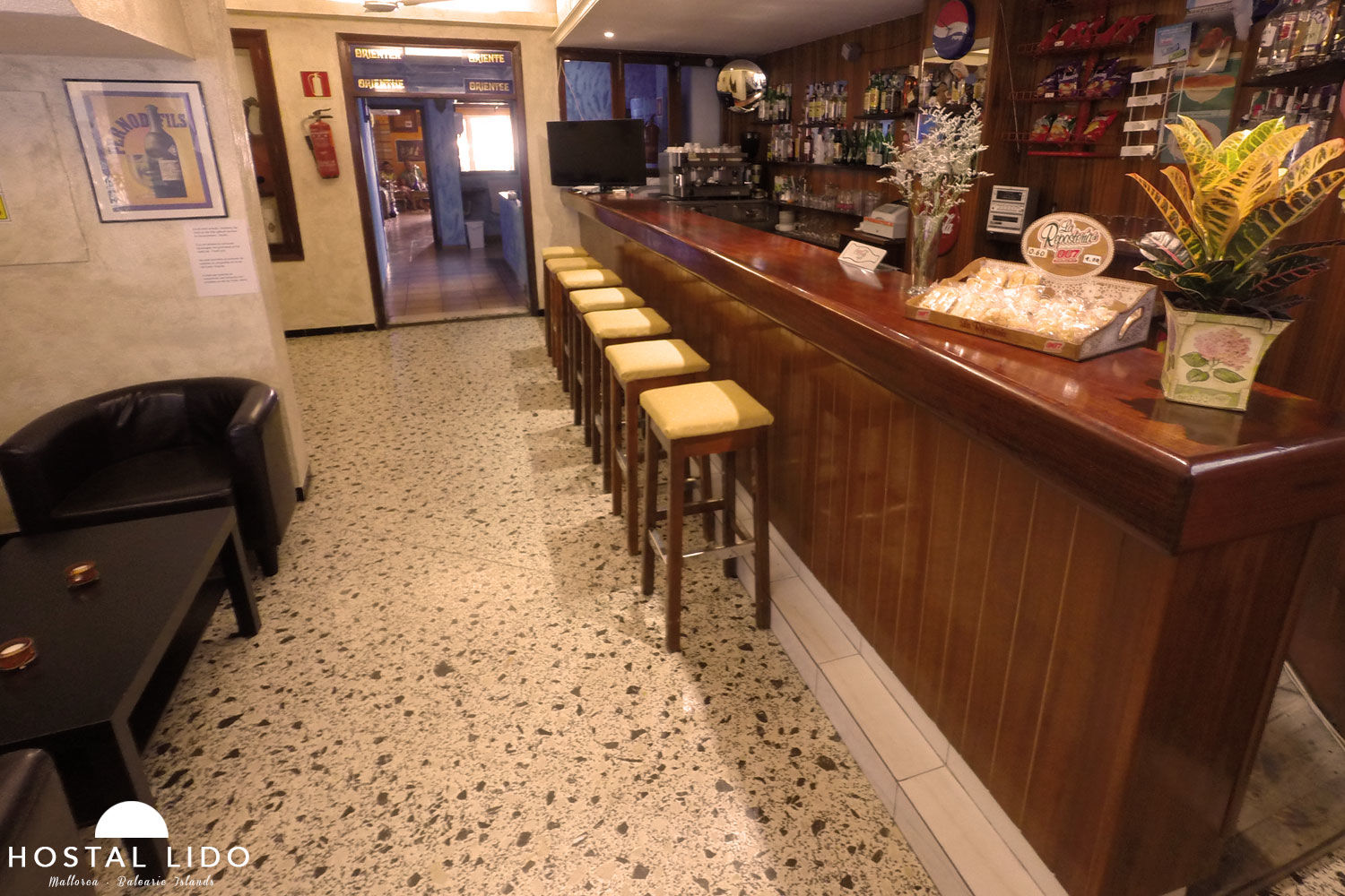 Sb Arenal Palma